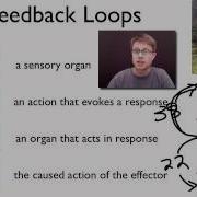 Elements Of A Feedback Loop