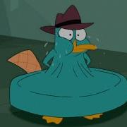 PERRY THE PLATYPUS YOU ATE ALL OF THE CHEESE EARRAPE 188
