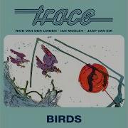Birds Suite
