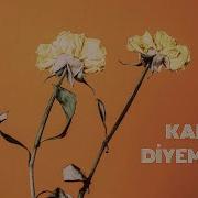 Gizem Yanar Kader Diyemezsin