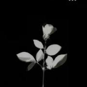 Depeche Mode In Sympathy