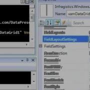 XamDataGrid Record Filtering