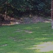 Smith Wesson 500 Vs Watermelon