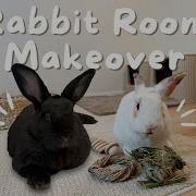 Bunny Room Makeover GIVEAWAY