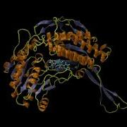 Molecular Dynamics Simulation Video