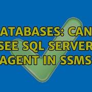 Databases Cant See SQL Server Agent In SSMS 2 Solutions