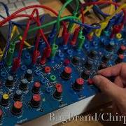BugBrand Chirper Voice 30 03 2025