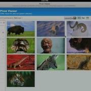 HTML5 PivotViewer IPad Rough Cut