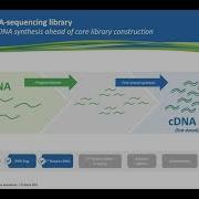 Ask A Scientist How Does RNA Sequencing Work