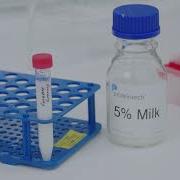 Western Blotting