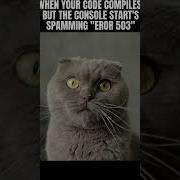 That Feeling When Code Compiles Shorts