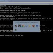 10 01 2 Parameters To Main