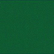 Reaction Diffusion Simulation K0 0604 F0 0412