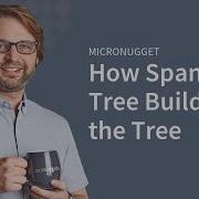How Spanning Tree Builds The Tree