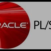 13 PL SQL LOWER Oracle Function
