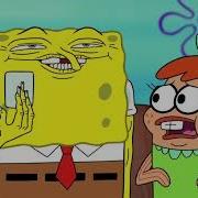 Nice License Can I Touch It