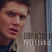 Multifandom Breath Of Life