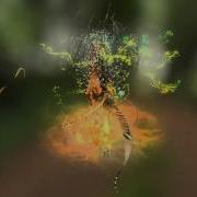 Nightingale Canary Bird Sounds Visualized By Andy Thomas