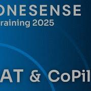 DroneSense 2025 Training Series MSAT CoPilot Basics