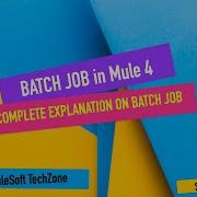 MULE 4 BATCH PROCESSING BATCH JOB BATCH STEP BATCH AGGREGATOR ACCEPT EXPRESSION ACCEPT POLICY
