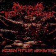 DEVOUR THE UNBORN Beg For Death