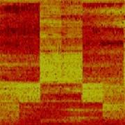 Cave14 Ogg Spectrogram Testing