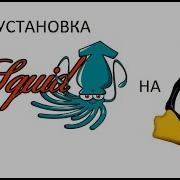 Установка и настройка прокси сервера Squid на Линукс