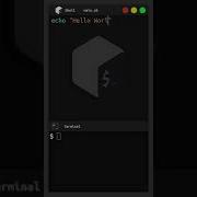 Hello World Shell Bash Shorts