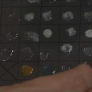 Solubility Rules