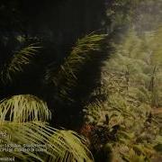 Tropical Forest Pack HDRP Beta Instanced Indirect Performance Test