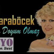 Neşe Karaböcek Aşkına Doyum Olmaz 1972