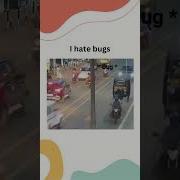I Hate Bugs Coding Code Bugs Html Css Python Pythontricks Webdevelopment Programming