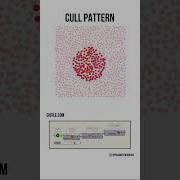Cull Pattern Shorts
