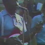 Muddy Waters In Nice July 10 1977