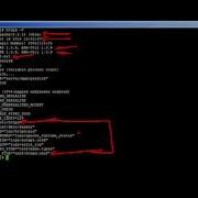 The Basics Of Apache Web Server