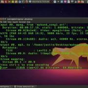 Extract Audio From A Video File In Ubuntu Linux Using FFMPEG