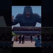 Rollercoasters That You Won T Believe Exist