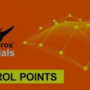 Master Rhino Control Points Guide