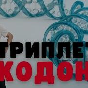 Что такое триплеты и кодоны Душкин объяснит