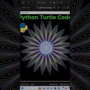 Amazing Python Turtle Flower Code Using Vs Code Short Video Pythonprogramming Viralvideo