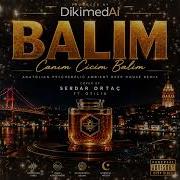 Serdar Ortaç Ft Otilia Balım Hypnotic Turkish Deep House Remix DikimedAi