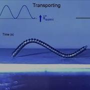 Magnetically Actuated Fiber Based Soft Robots
