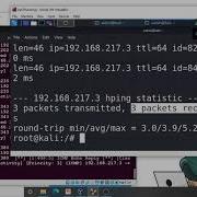Демонстрация Hping3 Kali Linux Атаки Ping Flood и SYN Flood DOS и DDOS Объяснение CSE4003