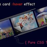 CSS Card Hover Effects Pure Css Tutorial Web Tutorials