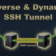 Reverse And Dynamic SSH Tunneling Remote And Dynamic Port Forwarding Configuration