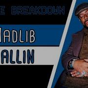 Madlib Fallin Sample Breakdown