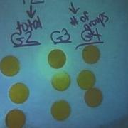 Modeling With Integer Chips Multiplication Division