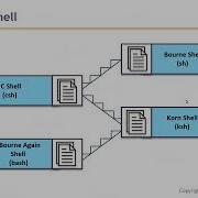 LM4 Lecture 4 User Input In A Shell Script Linuxadministration Course Begginners