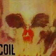 Coil The Hellbound Heart 1990
