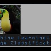 Program Computer To Identify Object In Photo Machine Learning Object Classification